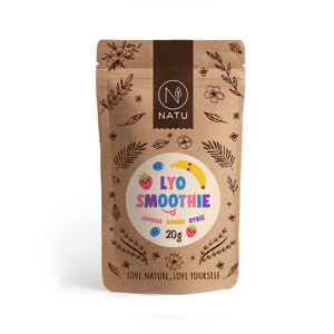 Natu - Lyo Smoothie mix, 20 g