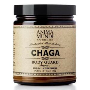Anima Mundi Chaga, prášek, 141 g