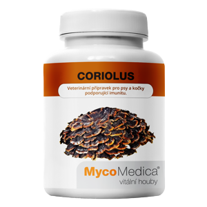 MycoMedica - Coriolus v optimální koncentraci, 90 rostlinných kapslí