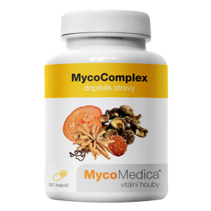 MycoMedica - MycoComplex v optimální koncentraci, 90 rostlinných kapslí