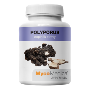 MycoMedica - Polyporus v optimální koncentraci, 90 želatinových kapslí