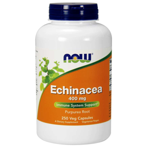 NOW® Foods NOW Echinacea (Třapatka), 400 mg, 250 rostlinných kapslí