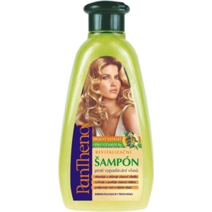Vivaco Šampon s březovým extraktem PANTHENOL 500 ml