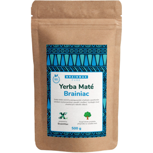 BrainMax Pure Yerba Maté, Brainiac, 500 g